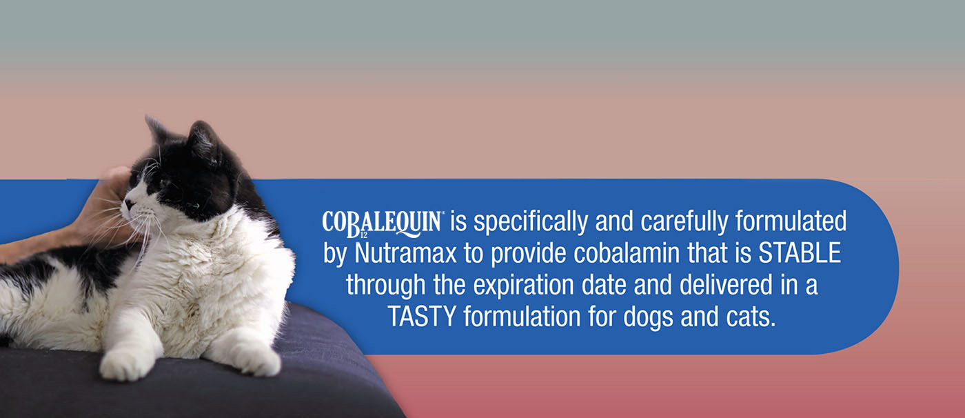 Tasty formulation for dogs and cats