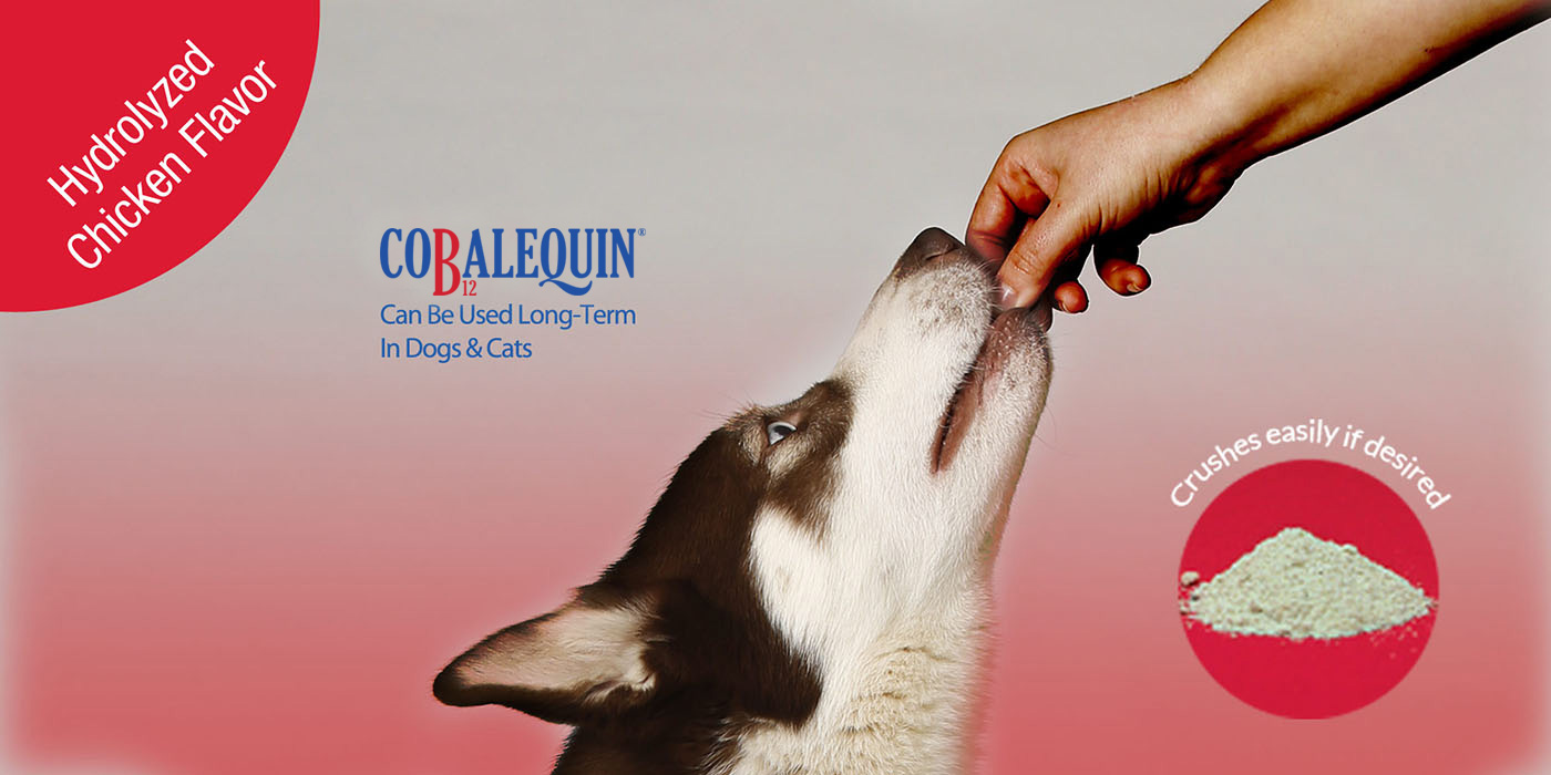 Can Be Used Long-Term In Dogs and Cats